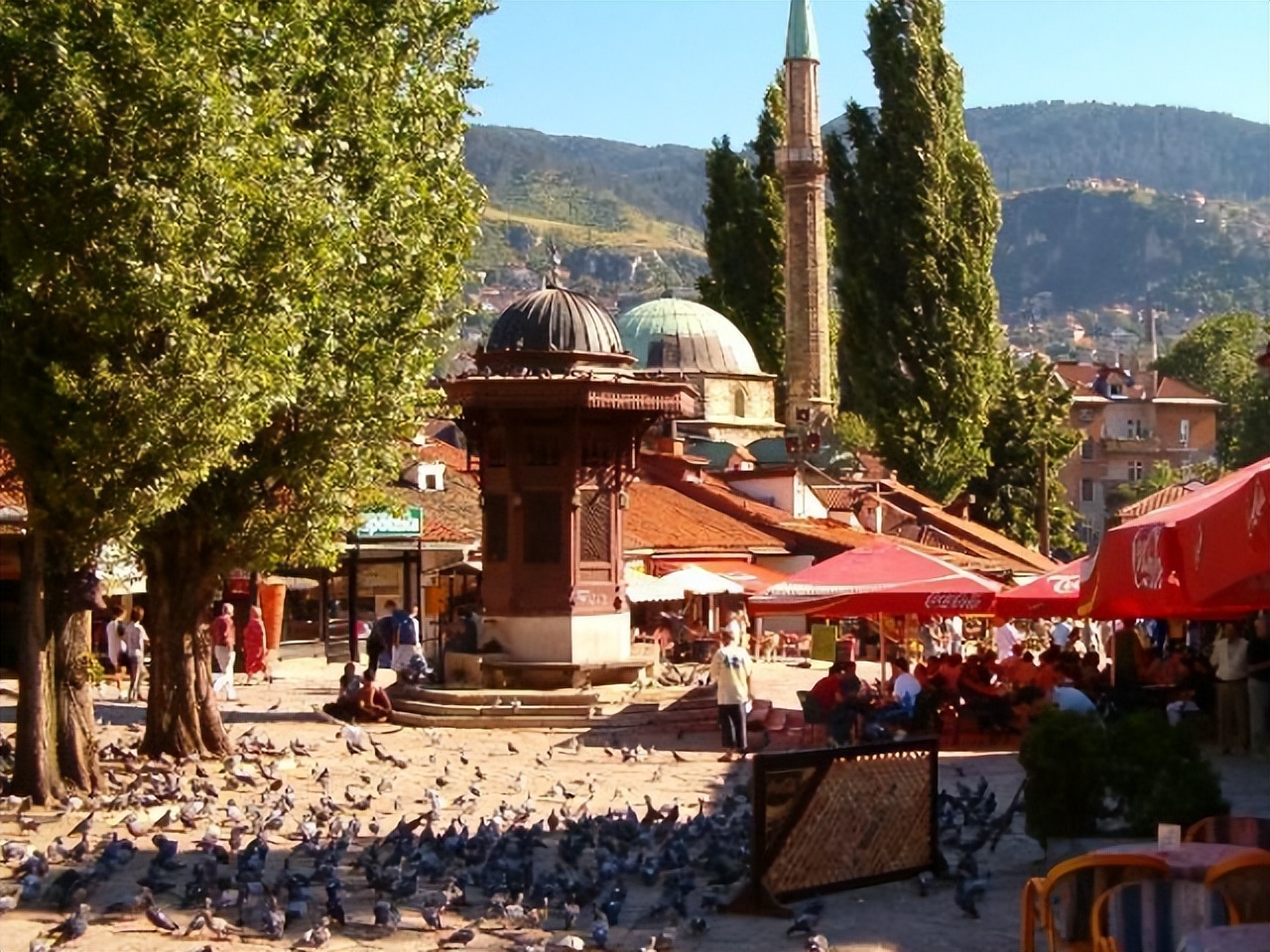 波黑地理环境,波黑原始森林