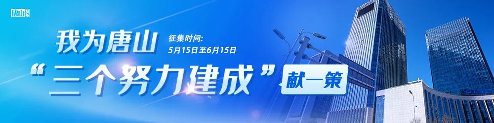 瑞丰钢铁集团,瑞丰钢铁简介