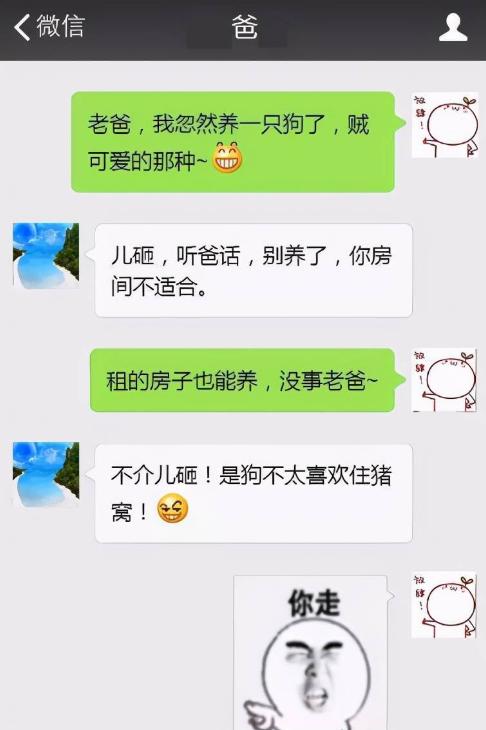 “你是不是不服？”，大学生与父母聊天，却因一个表情遭无情回怼