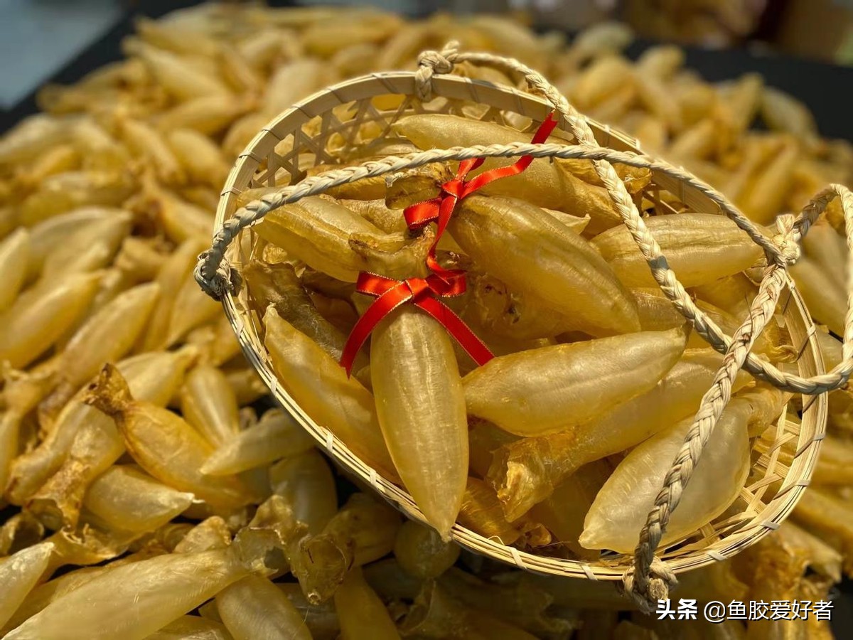 收藏版：全网最全的鱼胶品种，鱼胶品种这么多，你都认识吗？