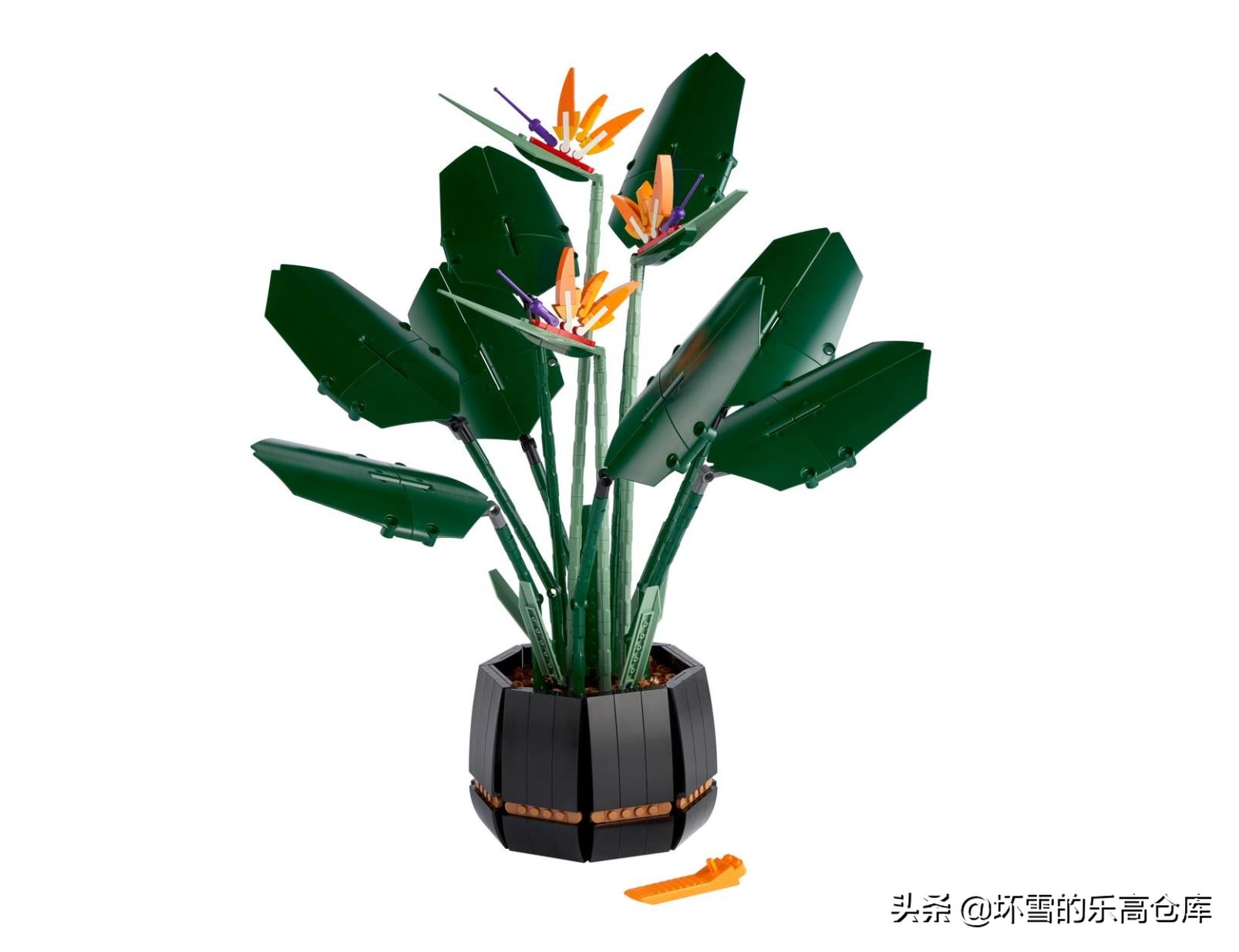 钢铁直男送礼视频,钢铁直男送礼完整版