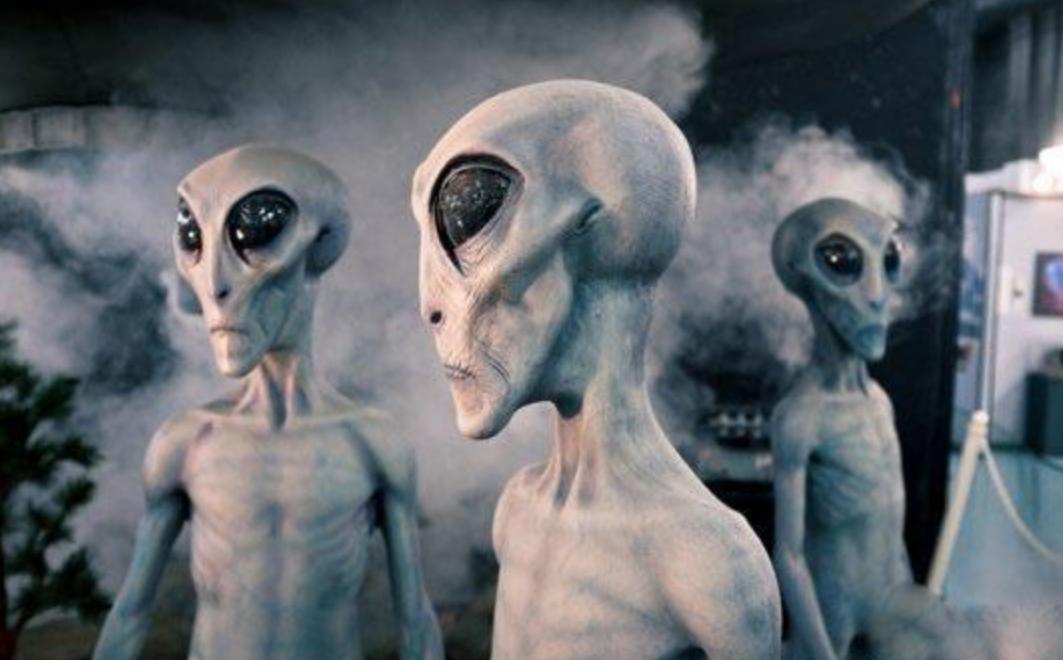 章鱼为什么被称为外星生物基因锁,章鱼是外星生物来自哪个星球