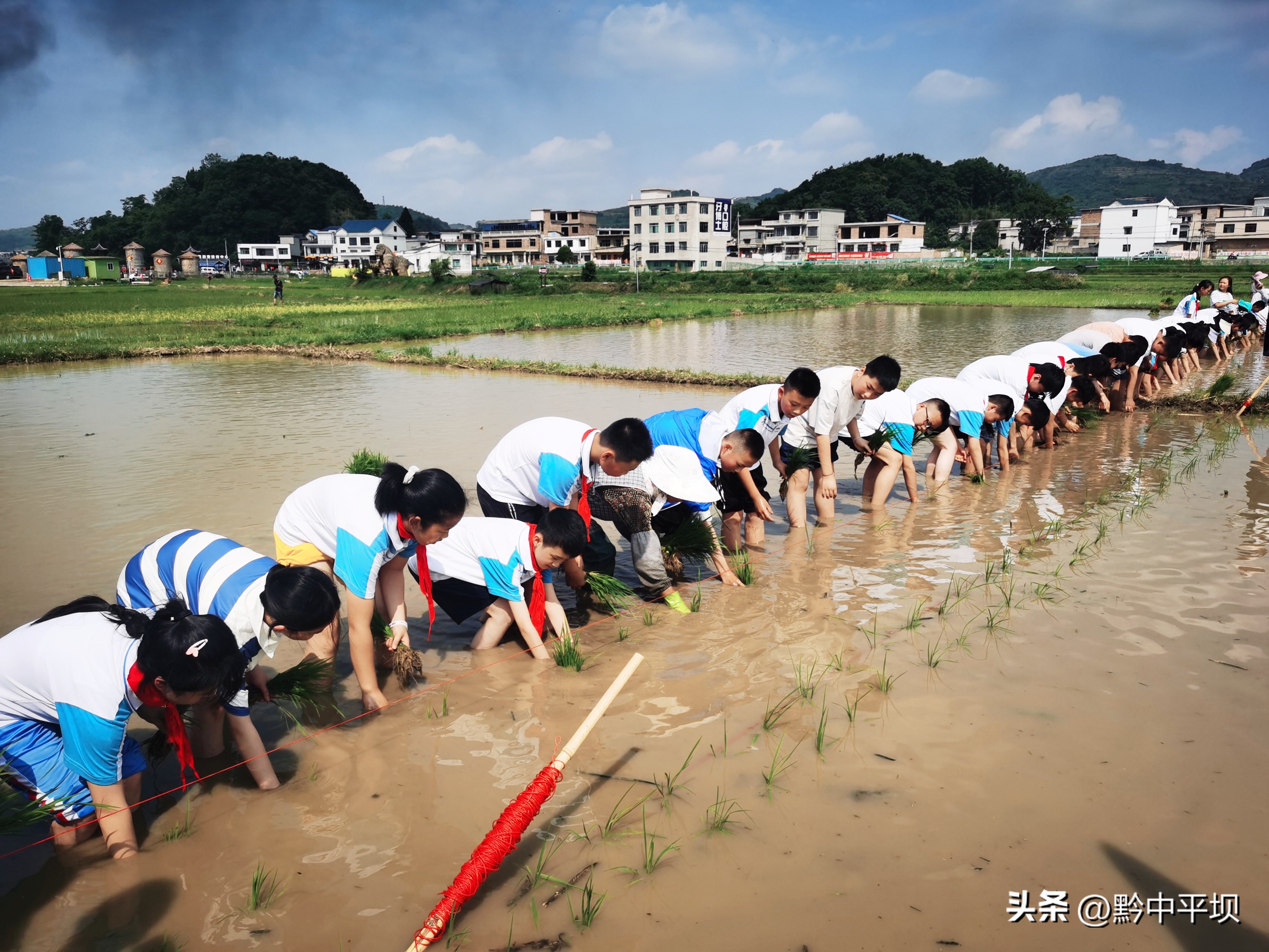平坝昊禹米业的基地,平坝昊禹米业