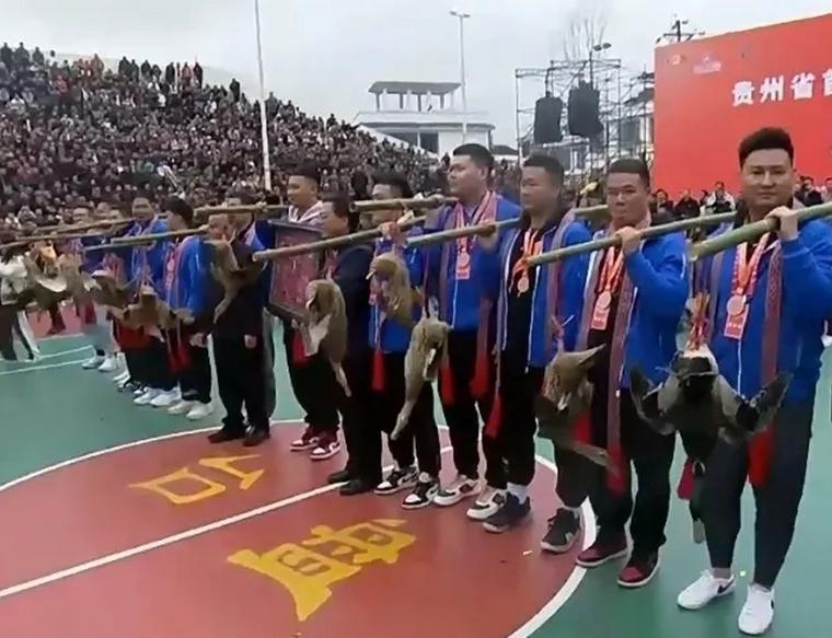 贵州榕江村超火爆场面,贵州榕江村为什么那么火