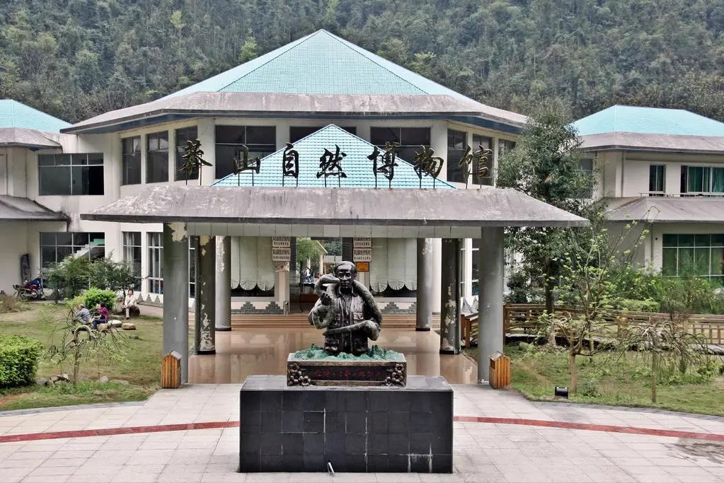 莽山烙铁头5000一条是真的吗,莽山烙铁头和大熊猫哪个珍稀