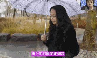 中岛美嘉曾经我也想过现场,中岛美嘉简介及资料