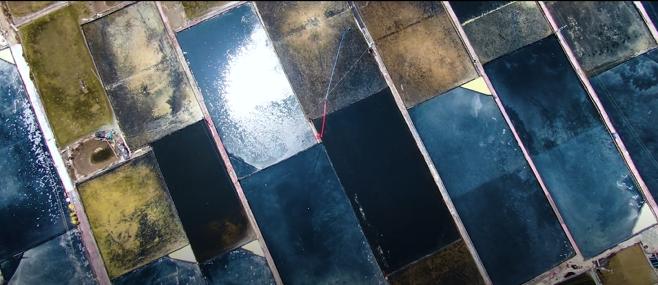 为什么叫乐清这个名字,为什么温州市有乐清市