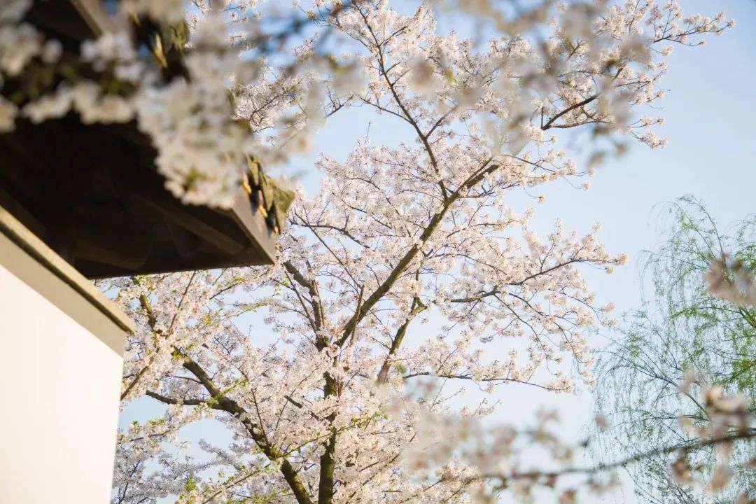 快上车app官网,快上车在哪设置