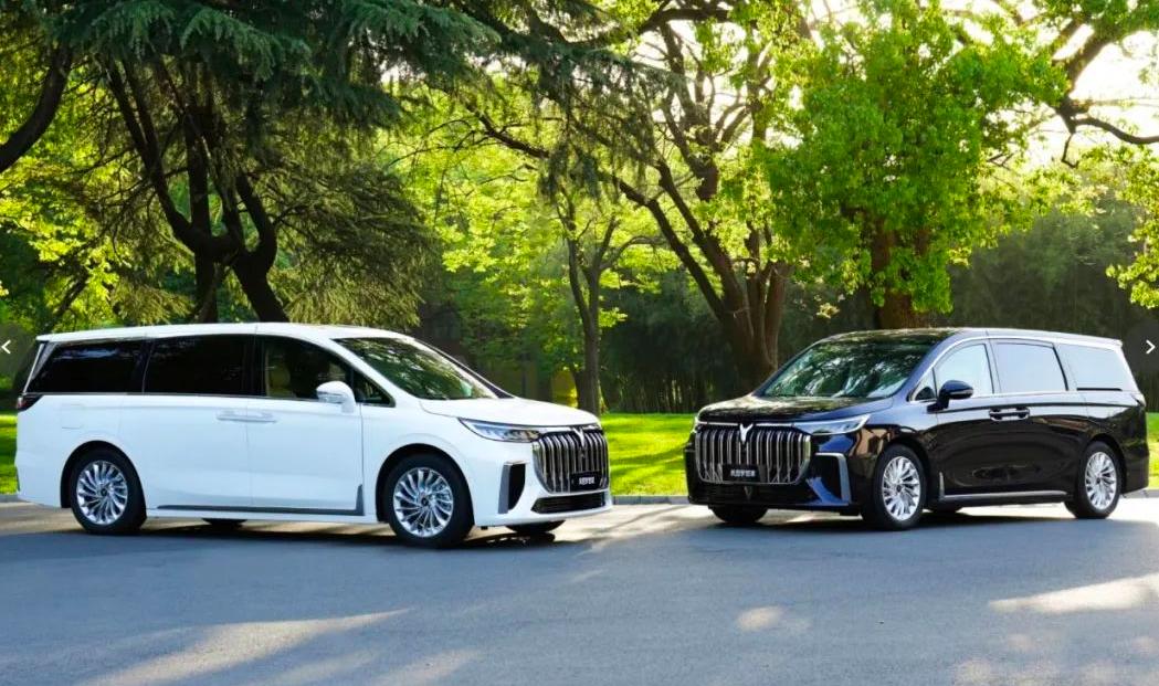 岚图梦想家评价怎么样,岚图梦想家评论