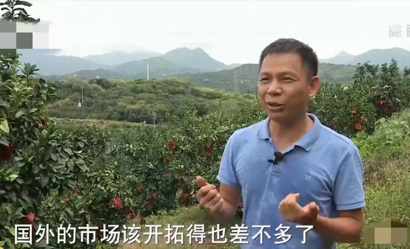 90后小伙承包15亩果园,湖南小伙承包五千亩四年赚上千万