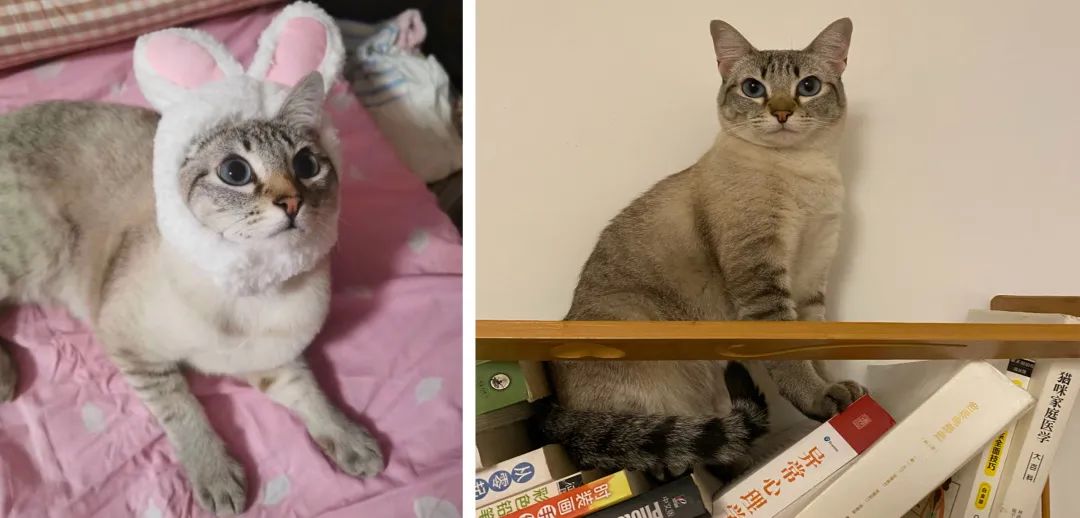 穷养富养不如爱自己,穷养自己富养妻完整版