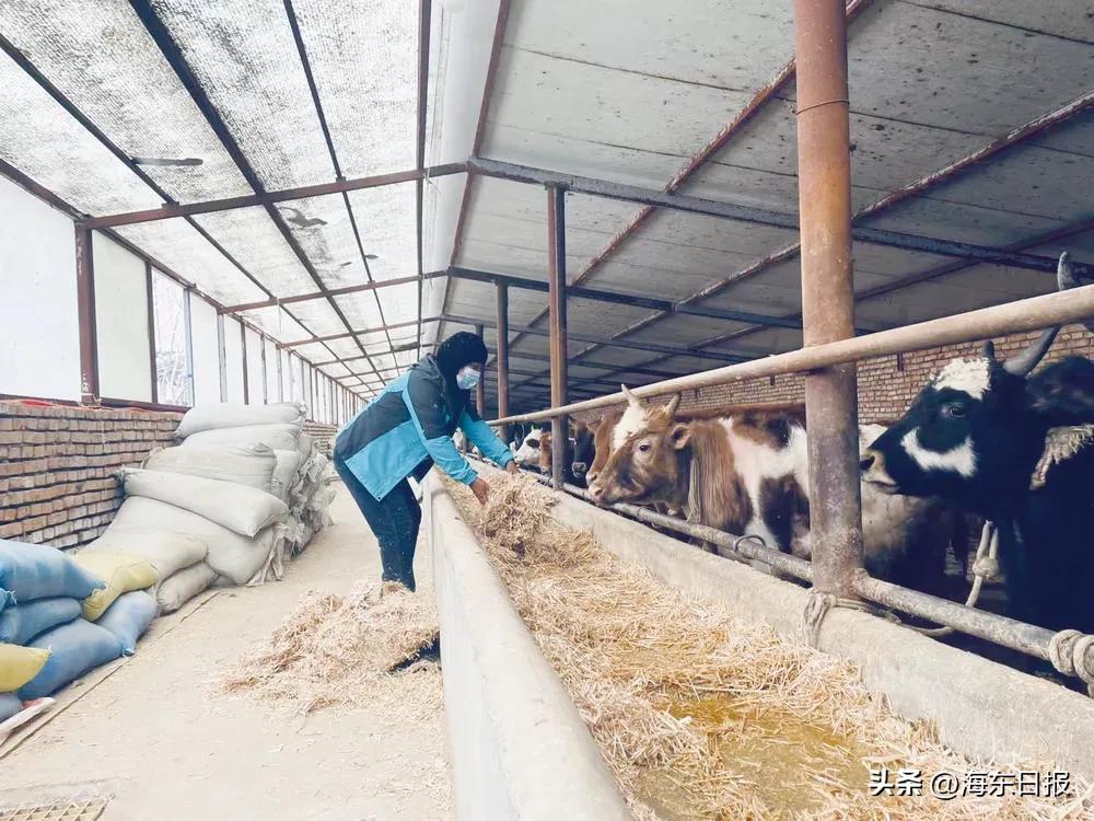 逐梦新时代巾帼绽芳华演讲,逐梦新时代巾帼绽芳华美文