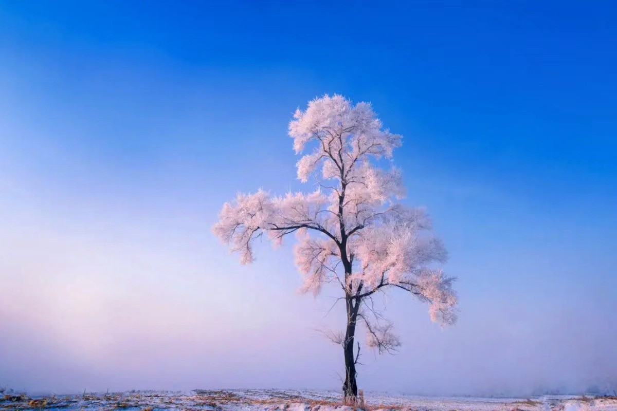 上海雪山自驾游,上海大学自驾游