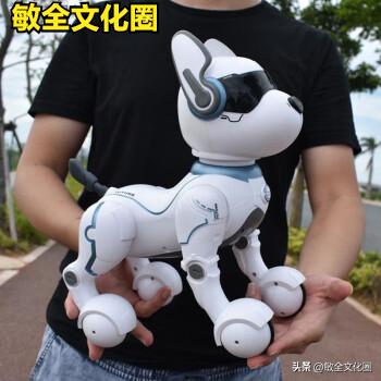 以后，我们一起去遛机器狗，相亲交友！