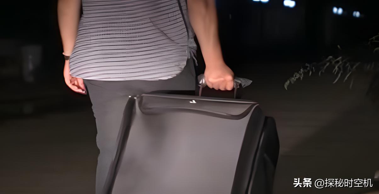 浙江行李箱碎尸案,江西皮箱藏尸真相大揭秘最新