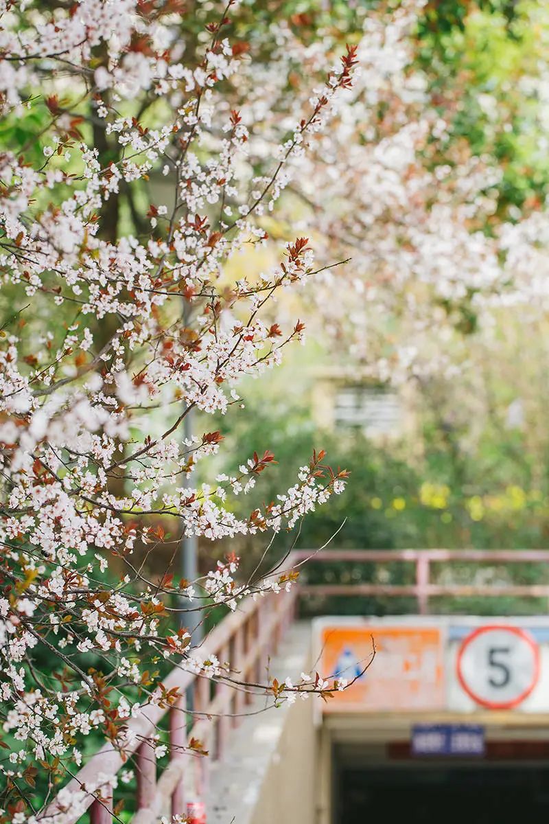 错过了一个秋天,错过了一个春秋