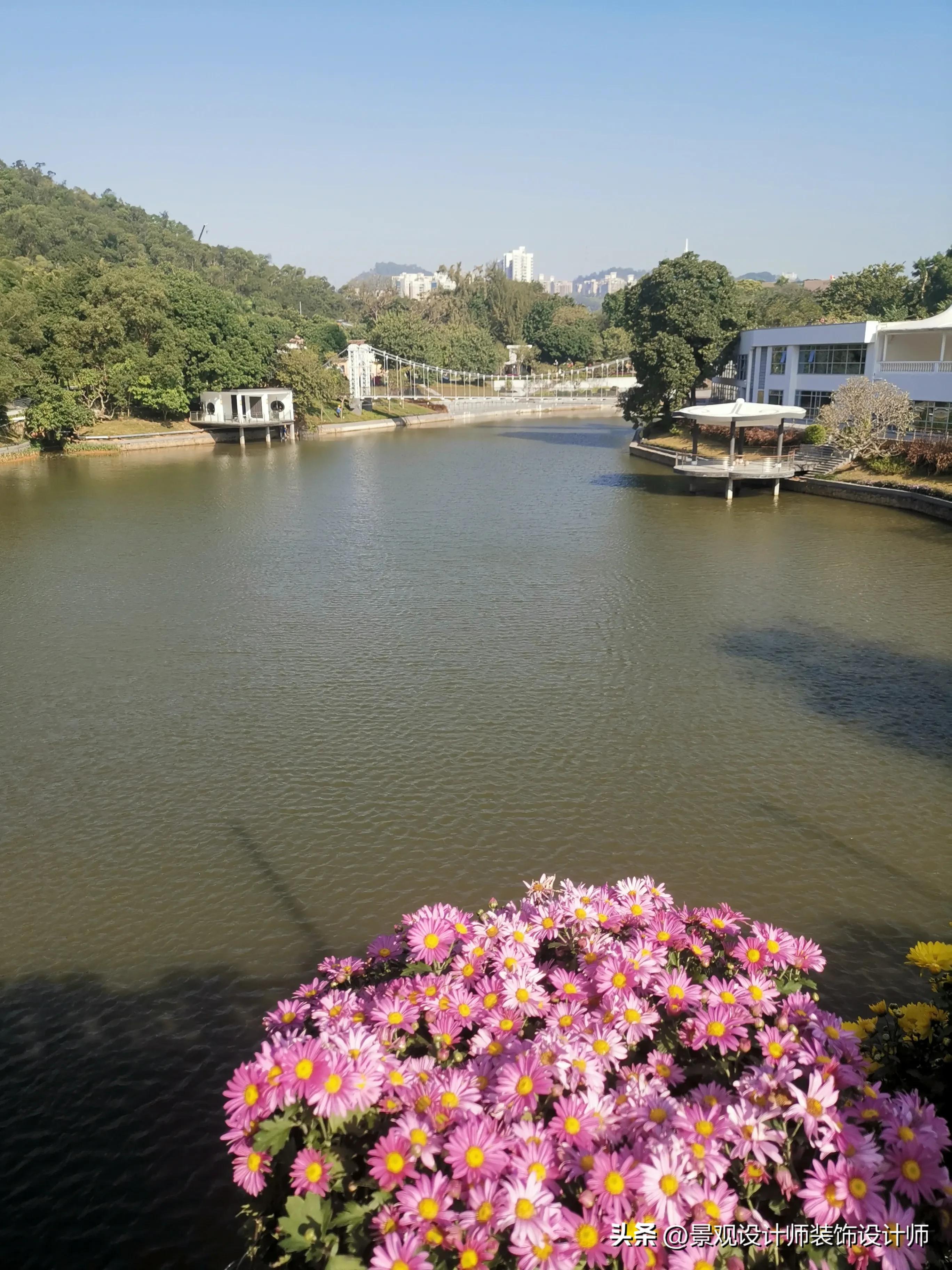 深圳市东湖公园广场舞,深圳市东湖公园收费标准