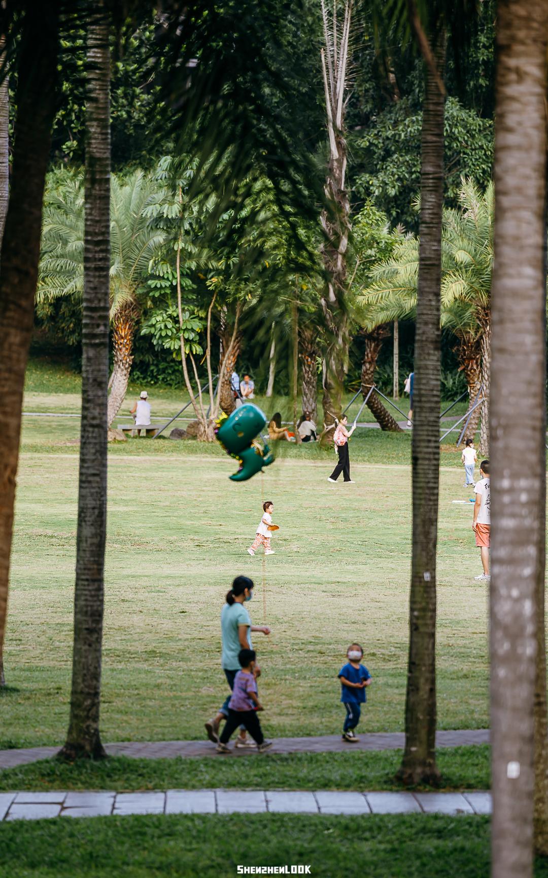 深圳香港一日游攻略带小孩老人,香港来深圳旅游攻略