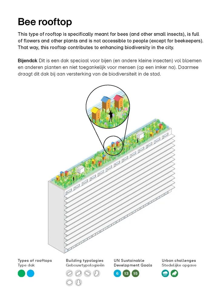 高质量屋顶设计最佳方案,屋顶设计百科全书
