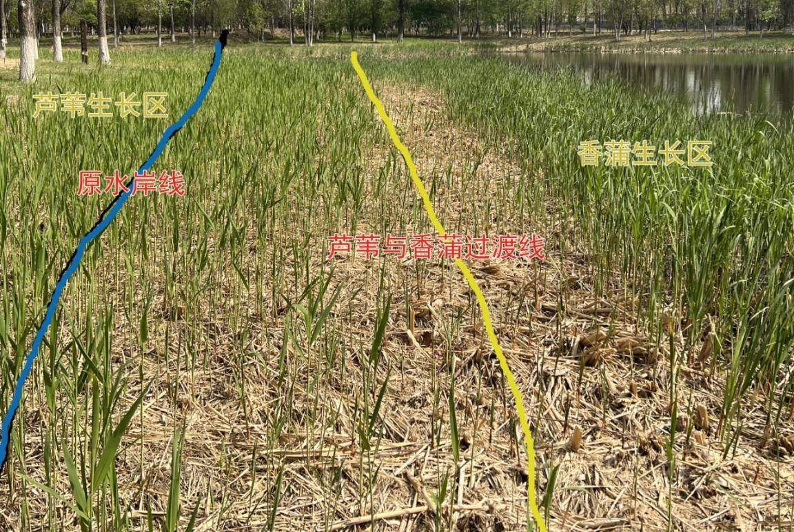 生态环境科普课堂,生态环境科普进校园