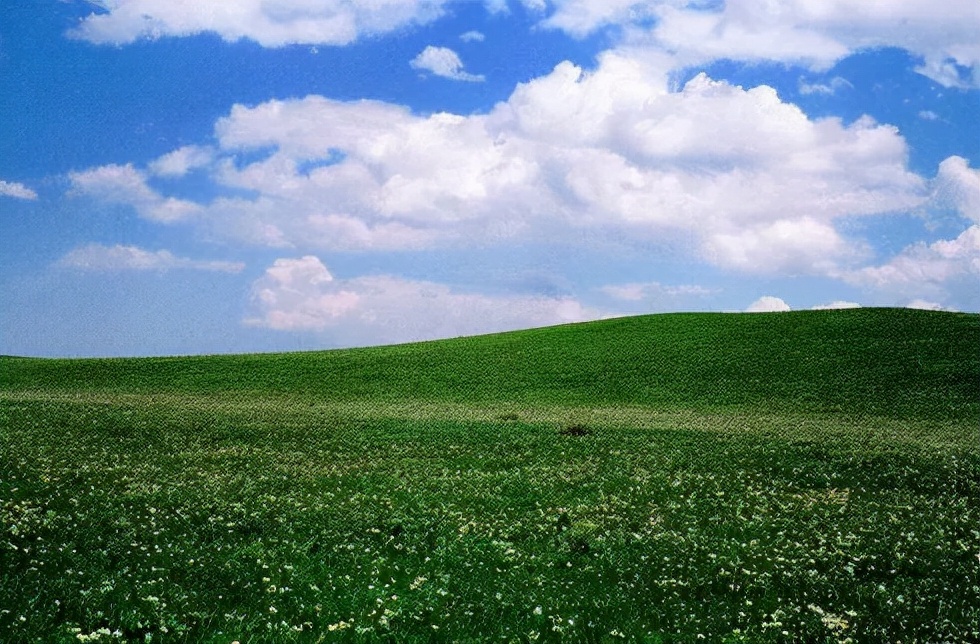 蒲鞭示辱的典故,蒲鞭示辱打一成语
