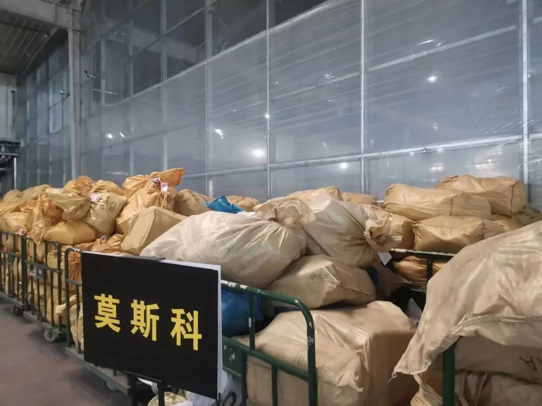 恢复运行的公交车线路,恢复运行最新通知