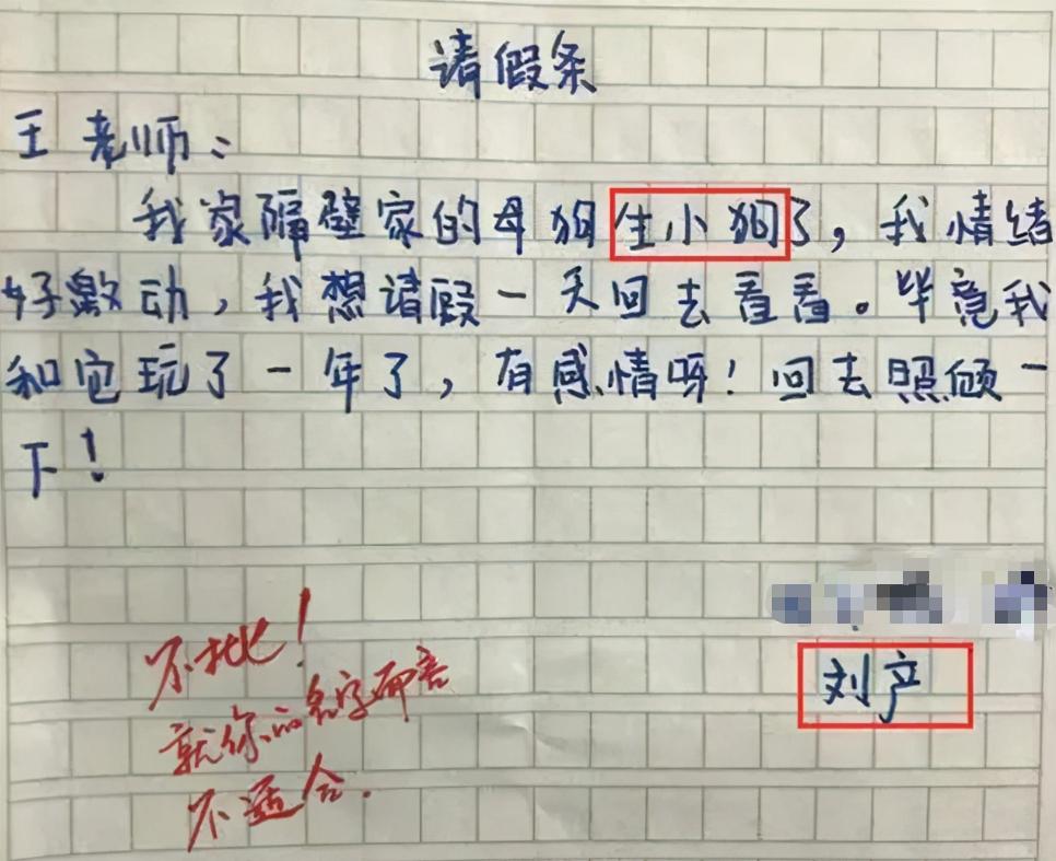 “我想回家看小狗”，大学生奇葩请假条火了，老师：你名字不合适