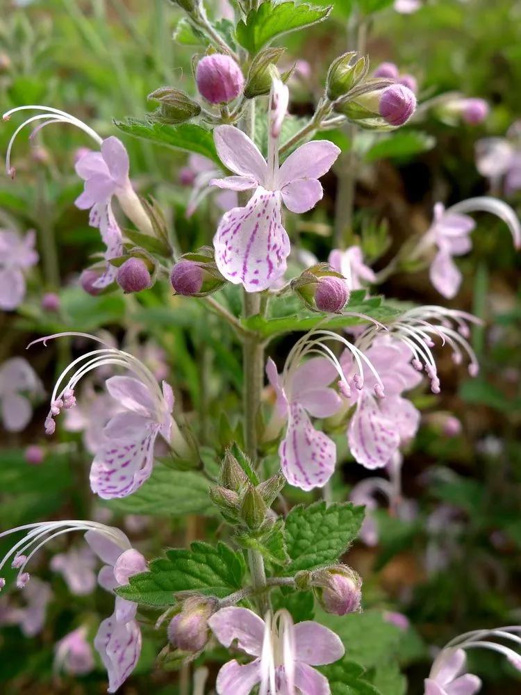 100种迷人的“数字花”,从零到一百万,真是太神奇了
