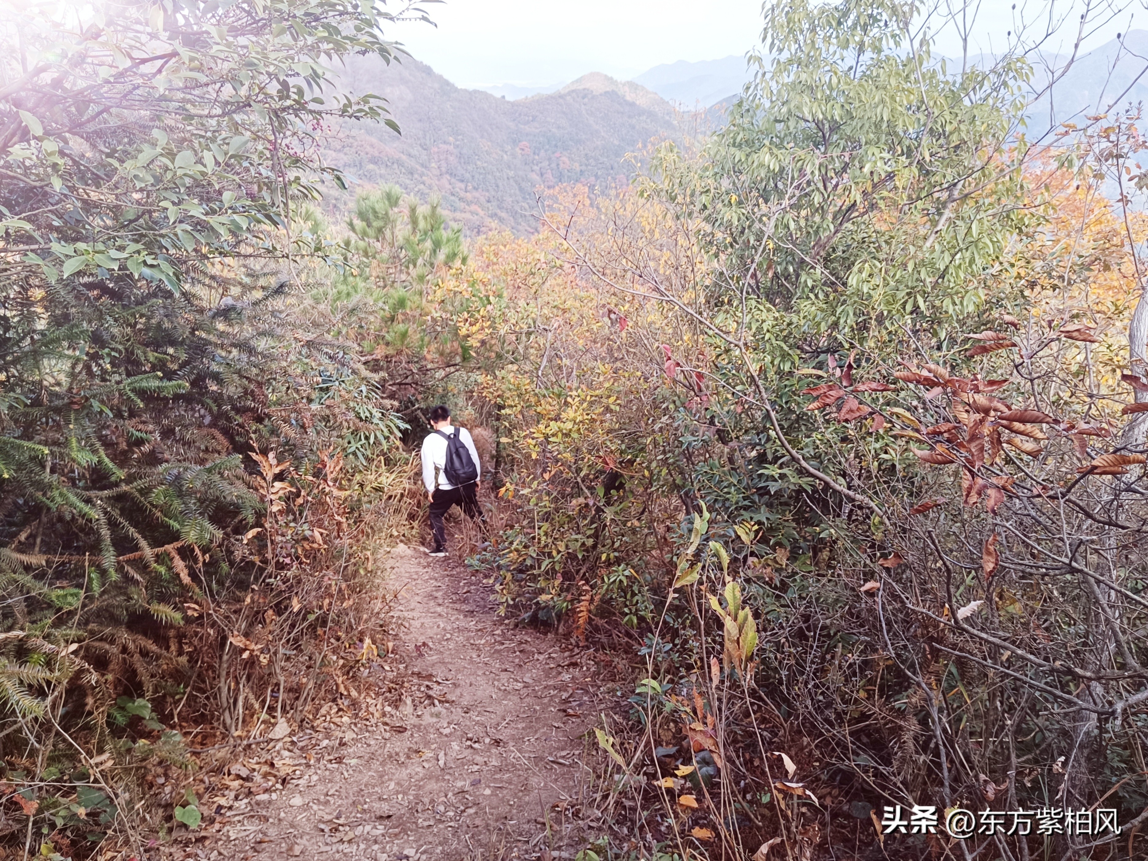 义乌大寒尖春季旅游,义乌大寒尖旅游饮食