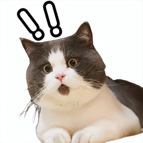 有没有一些特别赚钱的冷门职业,冷门缺人却高薪的职业男生有哪些