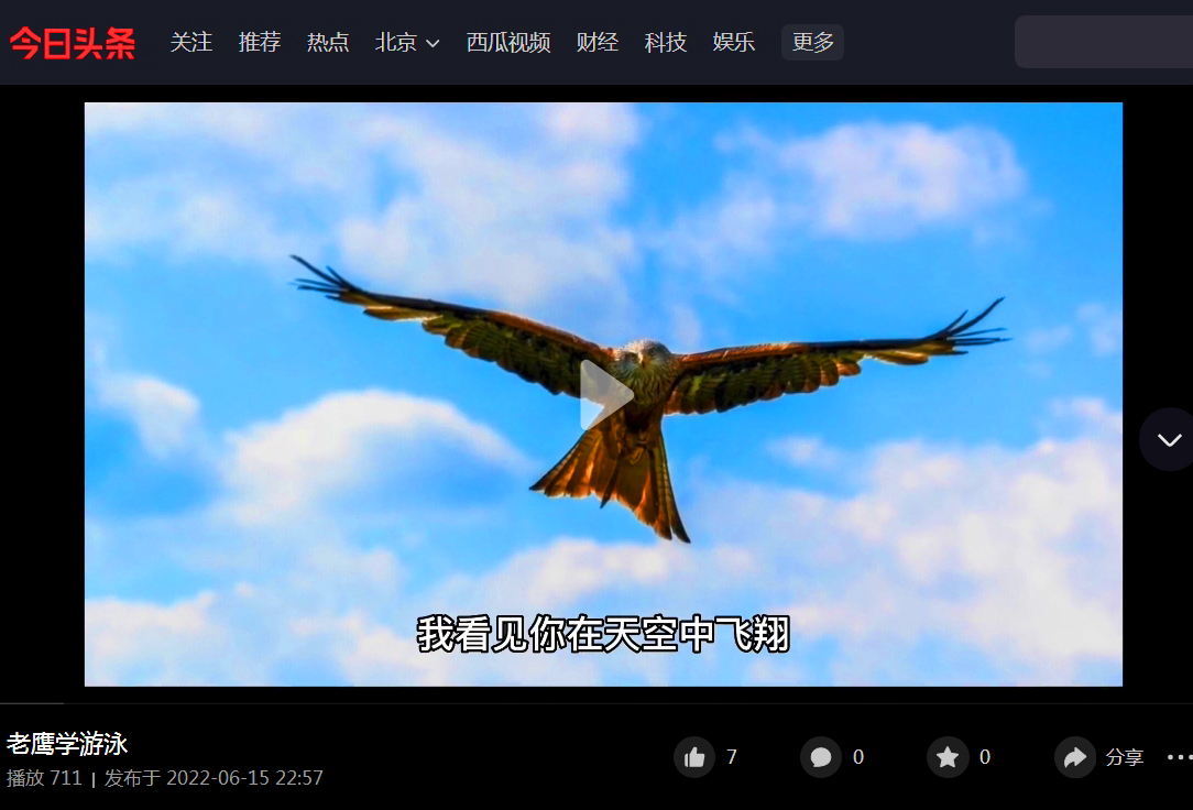 *今条头日**视频：钱欣葆寓言《老鹰学游泳》