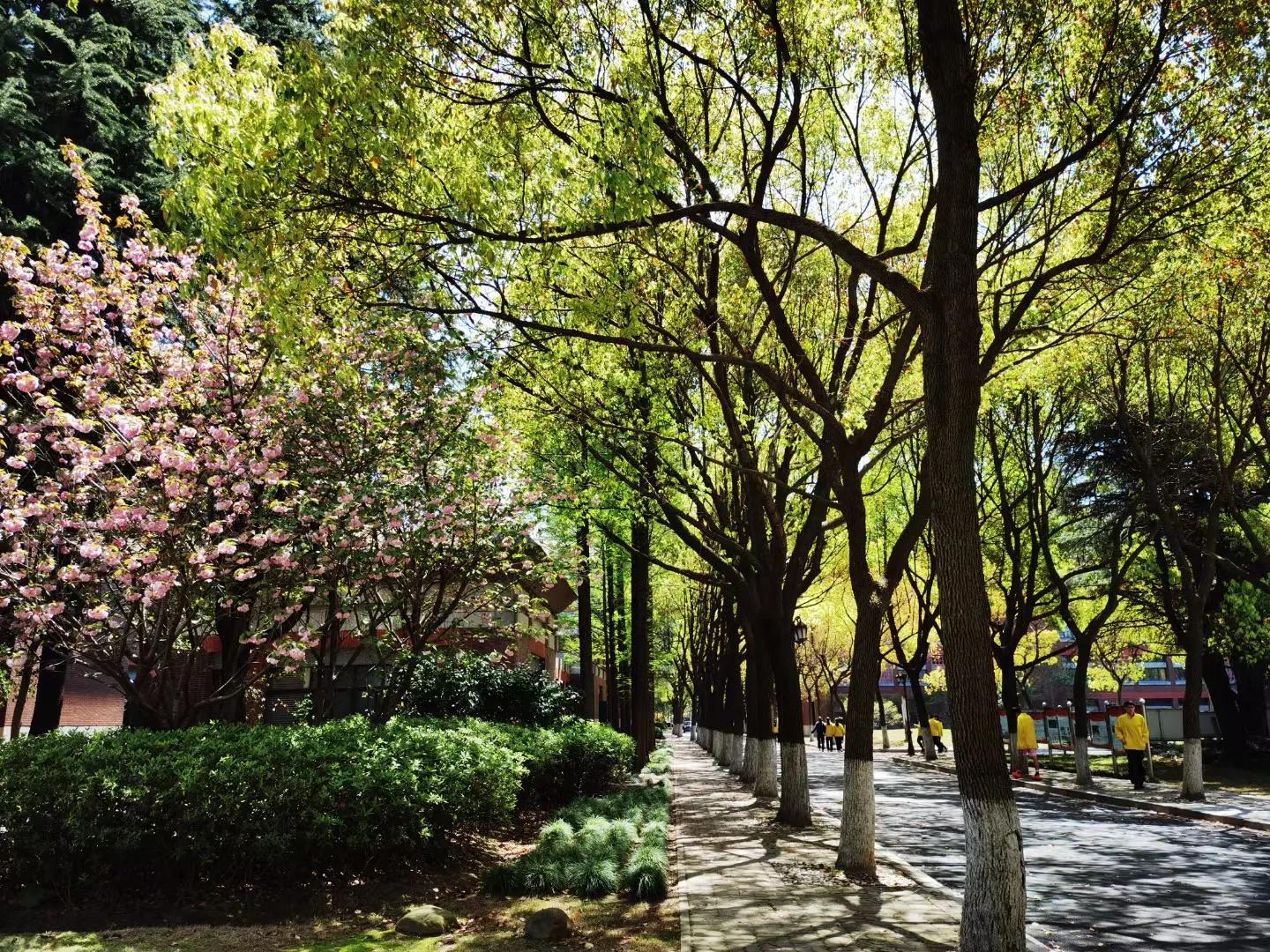 上海寄宿制高中学校排名前十,上海四大寄宿高中