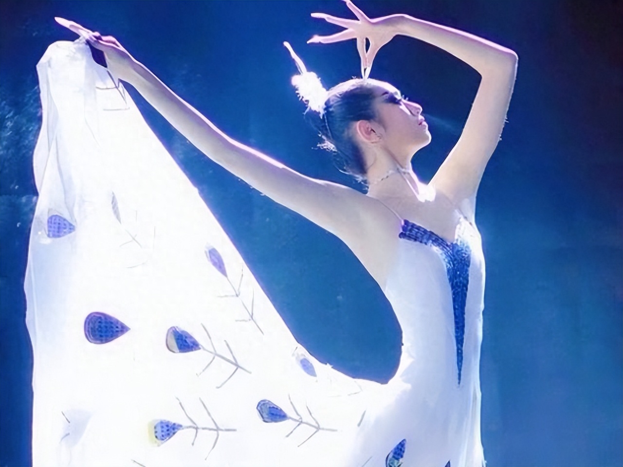 杨丽萍的四大不解之谜,杨丽萍十大不解之谜