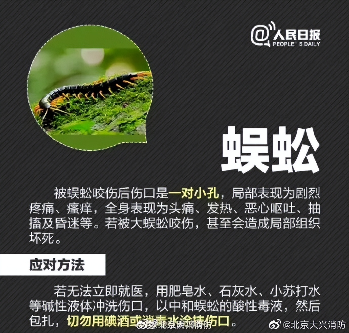 “我的脸被它毁容了…”毒液堪比硫酸！西安也有！