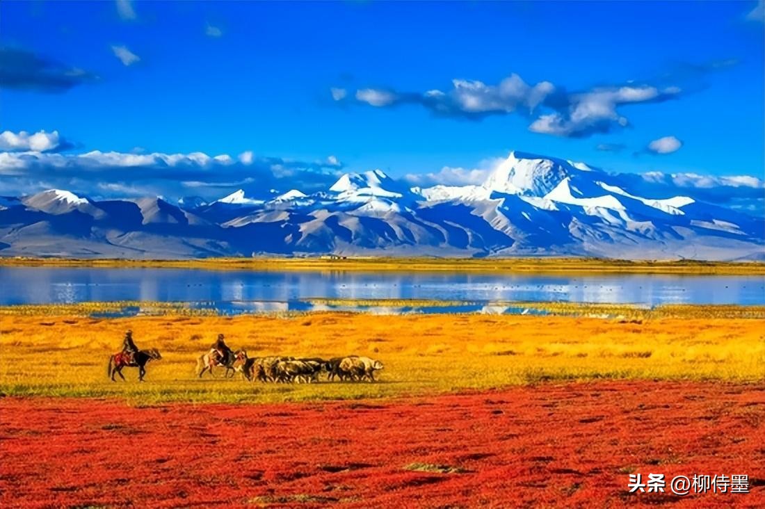 手机拍照怎么样才能拍出高级感,自行车人像拍照怎么拍出高级感