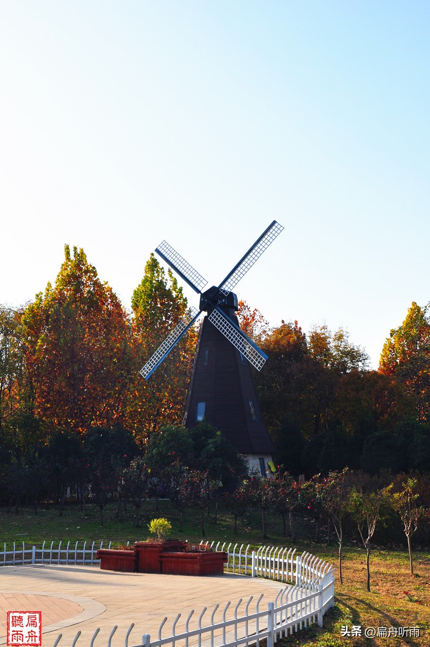 7月郑州凉快遛娃公园排行榜,郑州龙子湖避暑遛娃的地方