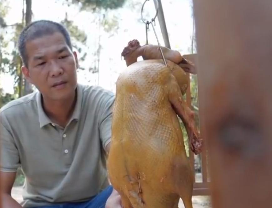 养鹅创业致富门路,90后小伙创业林下养殖大鹅