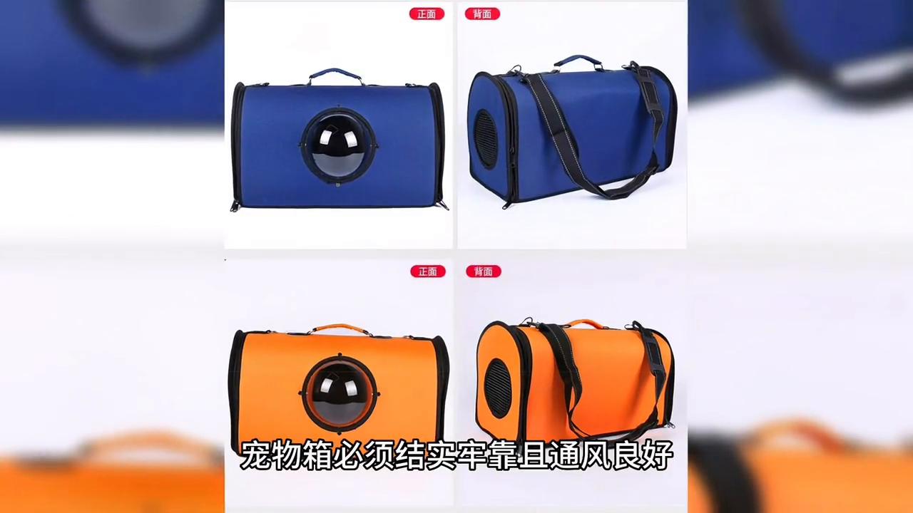 正规宠物托运公司有哪些品牌,正规宠物托运哪家专业