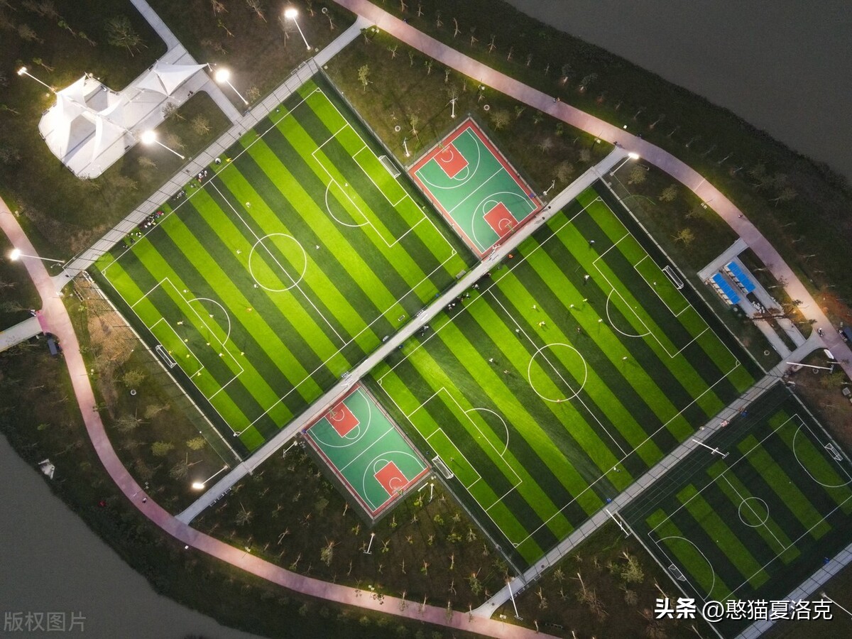 世界杯的草坪是真草吗,世界杯足球场草皮是硬的还是软的