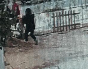 毒狗针究竟有多毒？专家：毒狗针有几种，有一种毒死的狗千万别吃