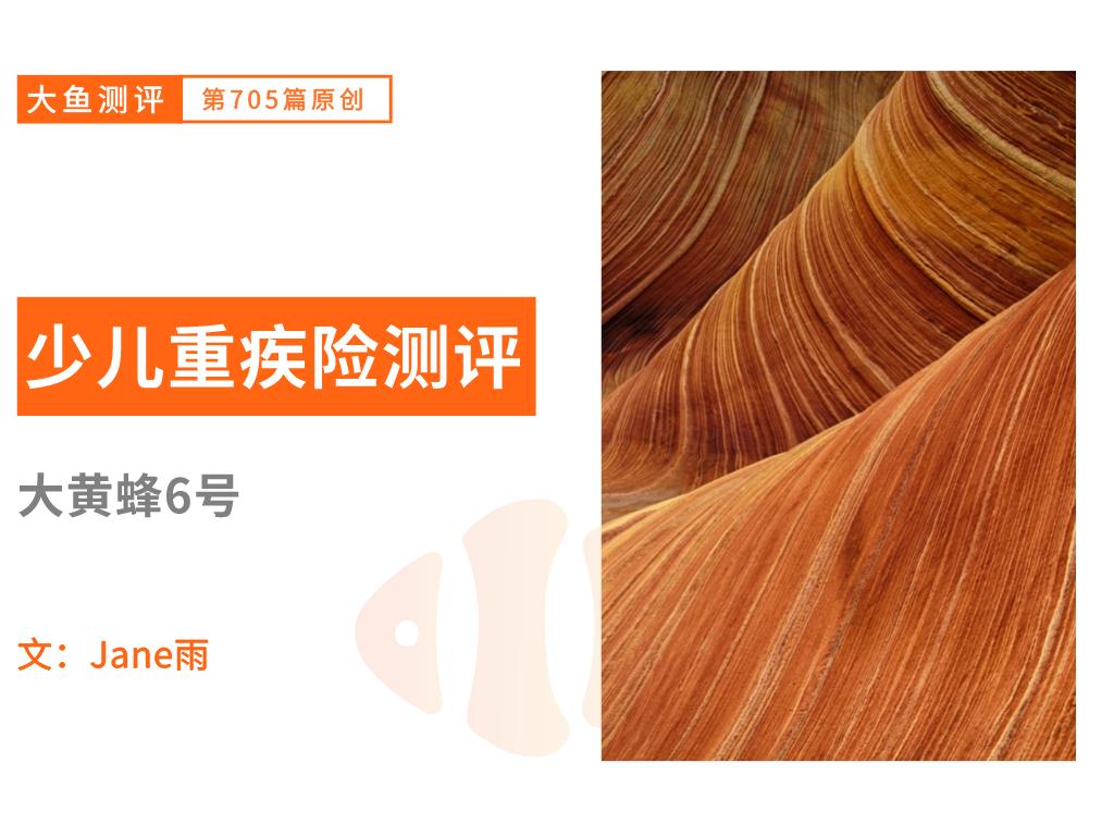 北京人寿大黄蜂6号保费,北京人寿大黄蜂6号附加险