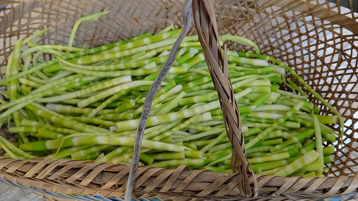 山民教剥竹笋只需3步轻松剥出笋,每日农经挖笋技巧视频