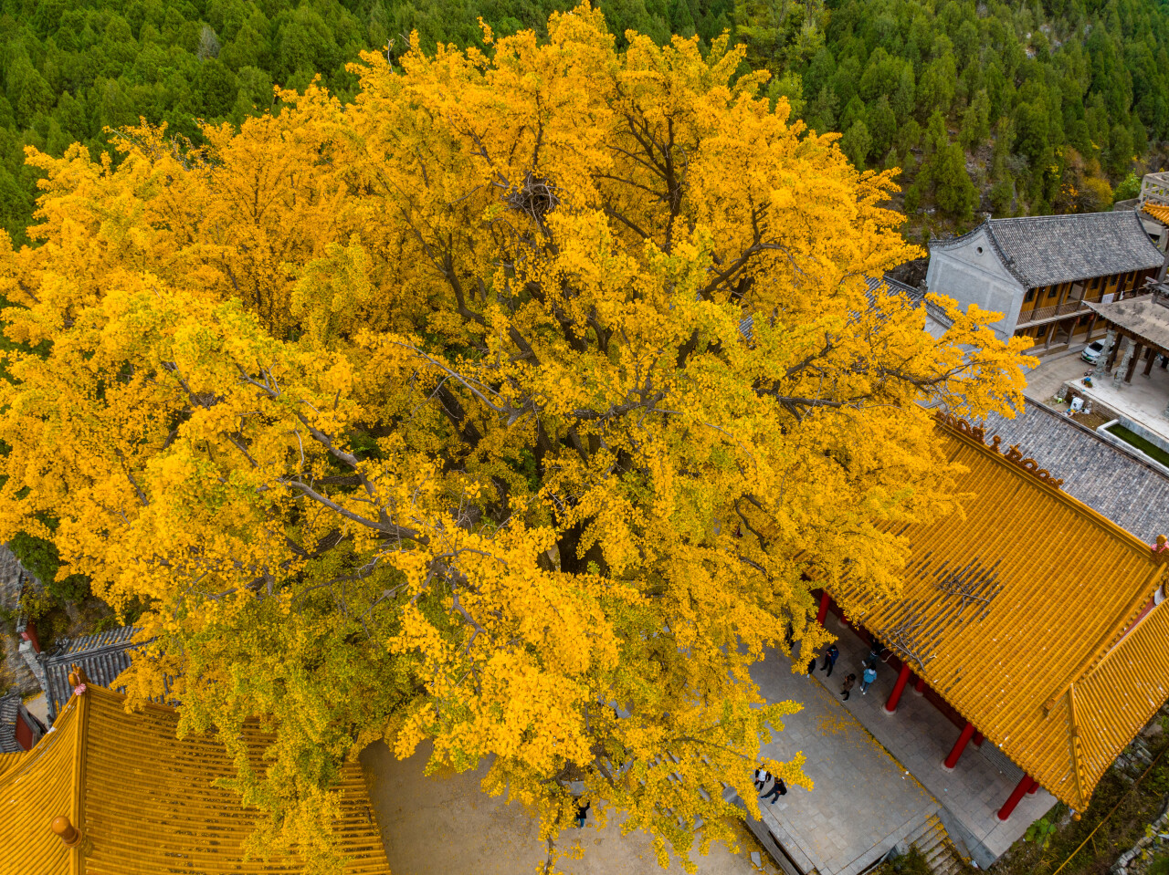 济南赏秋,秋天济南去哪里赏秋最好