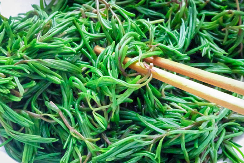 新鲜马齿苋如何凉拌好吃,马齿苋可以和荠菜一起吃吗