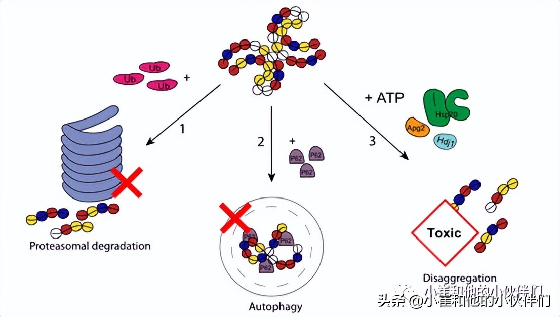 神经退行性疾病研究,神经退行性疾病是什么原因引起的