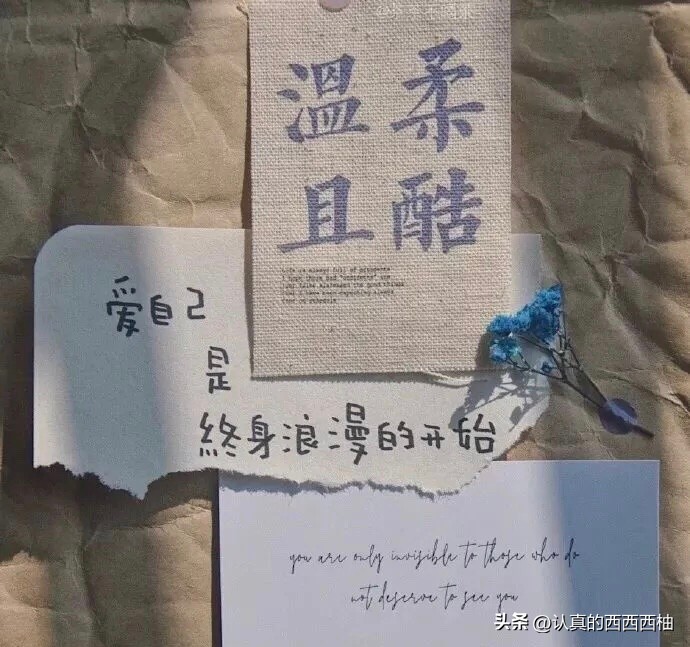 坦白局：分享我的搞钱经历