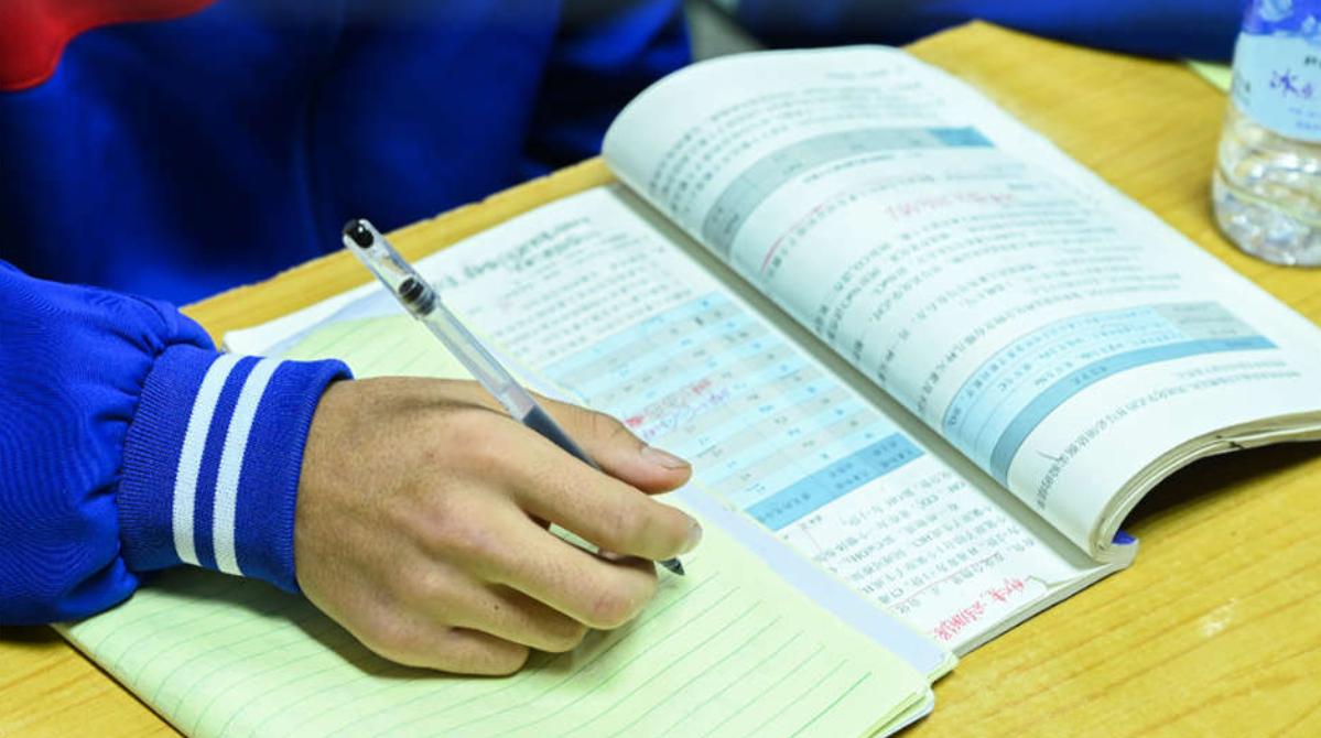 格斗孤儿的真实事件,孤儿打黑拳事件