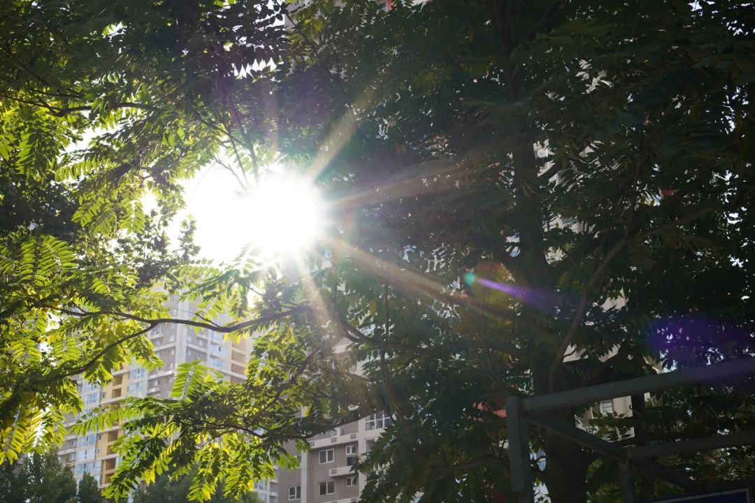 森养af35mmf18fe开箱体验,森养50mmf1.4二代锐度