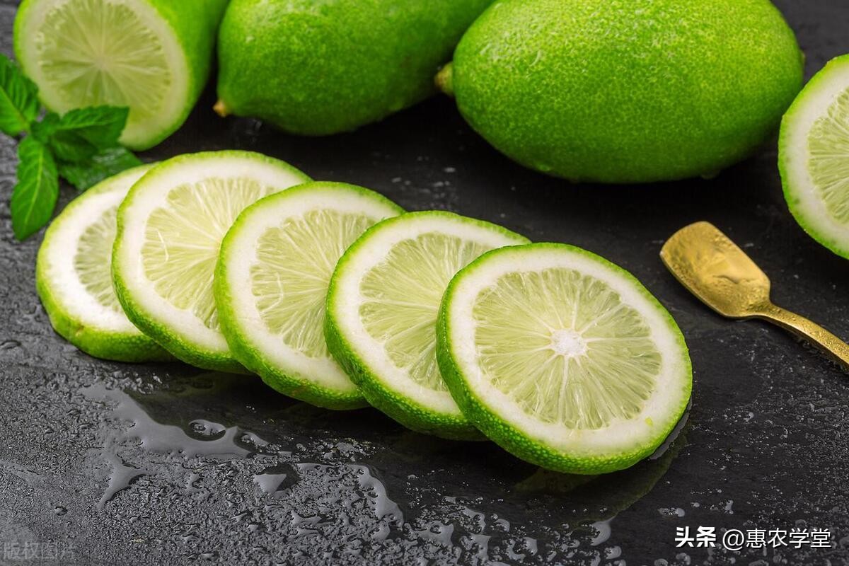 广东香水柠檬行情价是多少,广东香水柠檬价格最新报价表