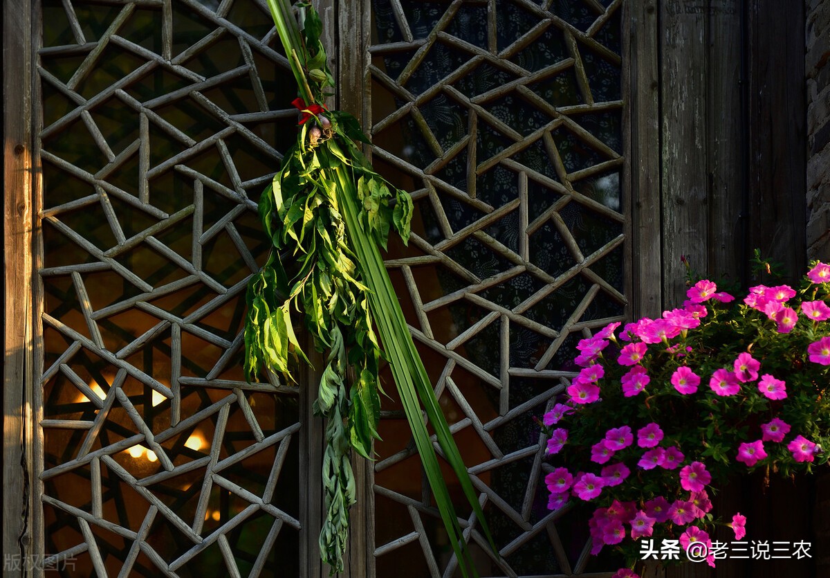 养兔技术喂兔用的主要能量饲料,能让兔子长得又快又好的饲料配方